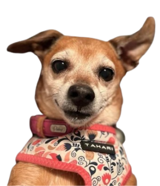 Mica